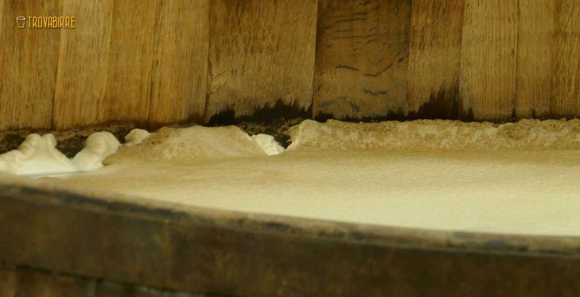 La fermentazione spontanea nella birra artigianale
